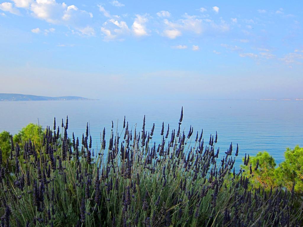 Amarandos Sea View Apartments Vokaria Exteriér fotografie